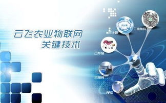 云飞科技水产养殖自动控制系统方案与智能监控技术研究